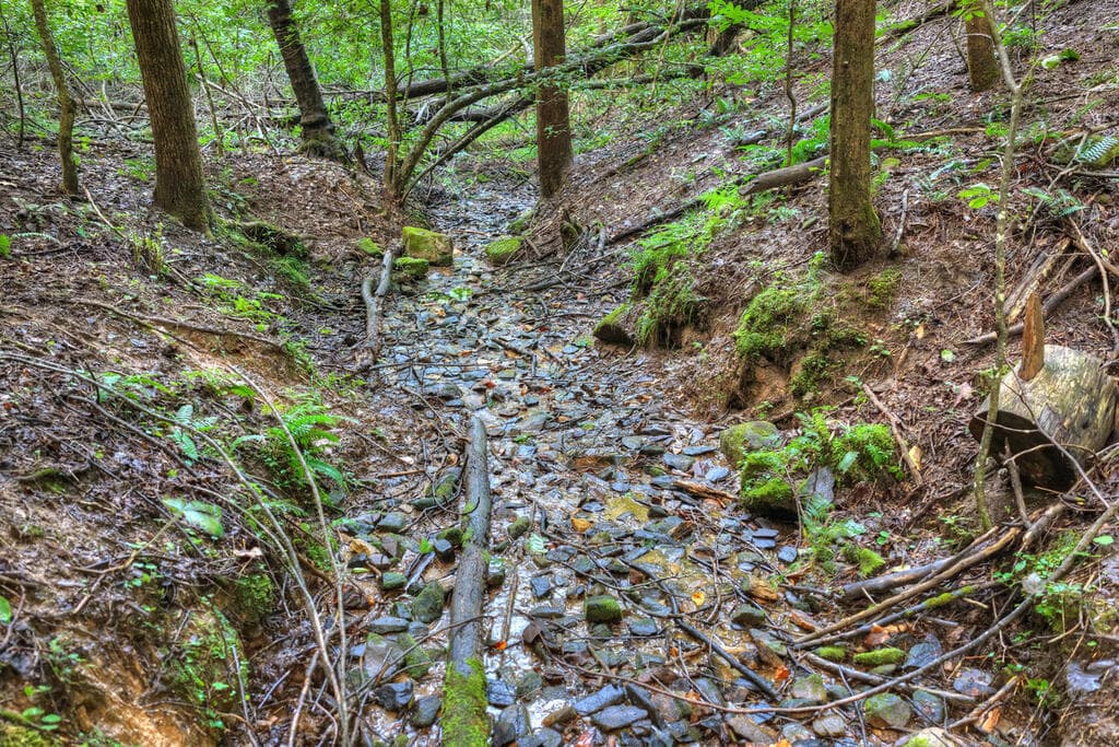 234 Holly Hollow Road, Cherry Log GA 30522 - Photo