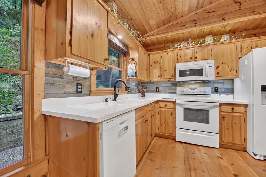 234 Holly Hollow Road, Cherry Log GA 30522 - Photo