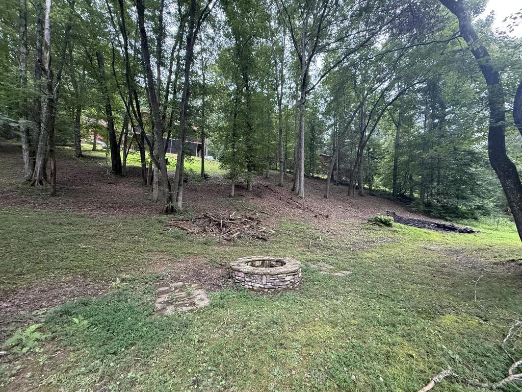 367 Sunrise Valley Road, Blue Ridge GA 30513 - Photo