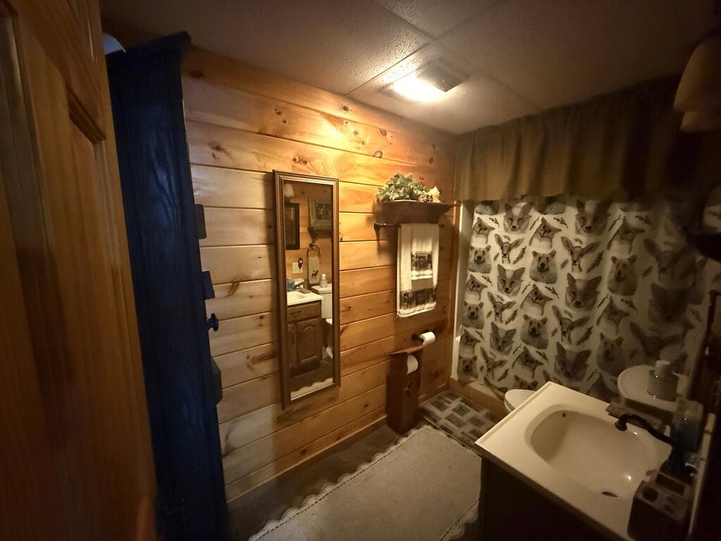 367 Sunrise Valley Road, Blue Ridge GA 30513 - Photo