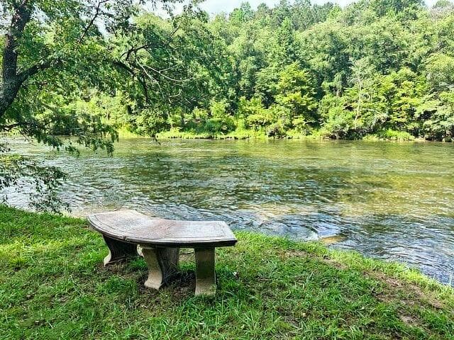 Lot 26 Toccoa Preserve, Blue Ridge GA 30513 - Photo