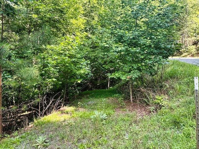 Lot 26 Toccoa Preserve, Blue Ridge GA 30513 - Photo