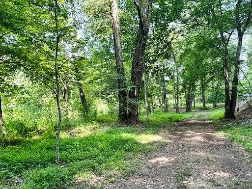 Lot 26 Toccoa Preserve, Blue Ridge GA 30513 - Photo