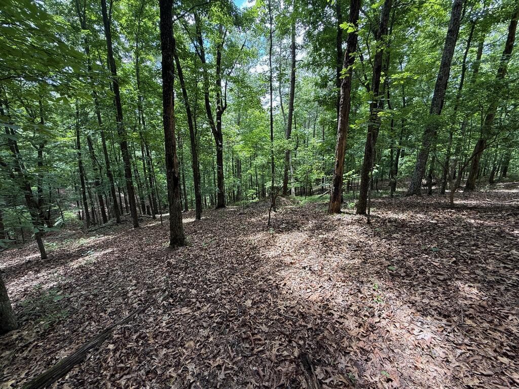 Lot 1065 Mayfield Lane, Ranger GA 30734 - Photo