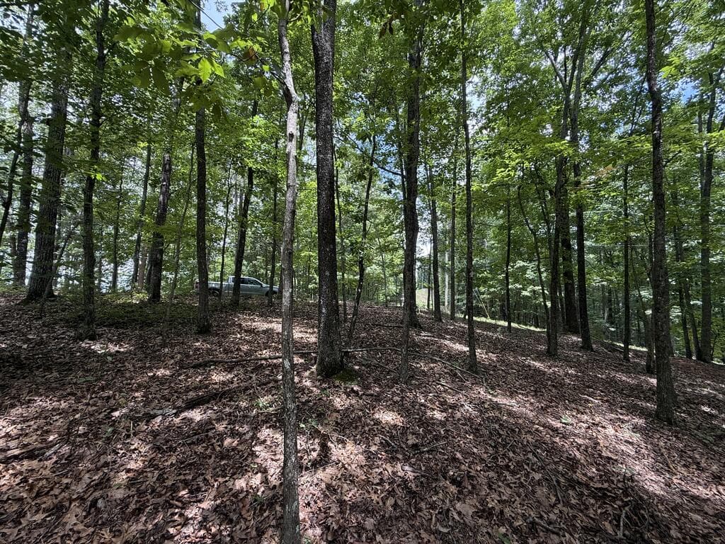 Lot 1065 Mayfield Lane, Ranger GA 30734 - Photo