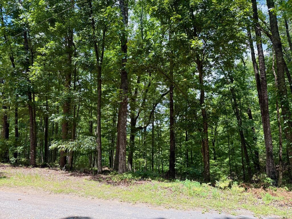 Lot 1065 Mayfield Lane, Ranger GA 30734 - Photo