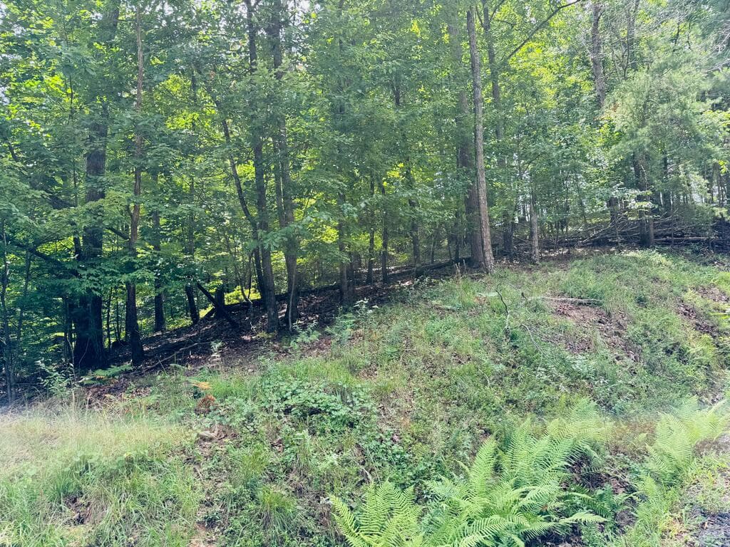 Lot 7 Stirratt Road, Ranger GA 30734 - Photo