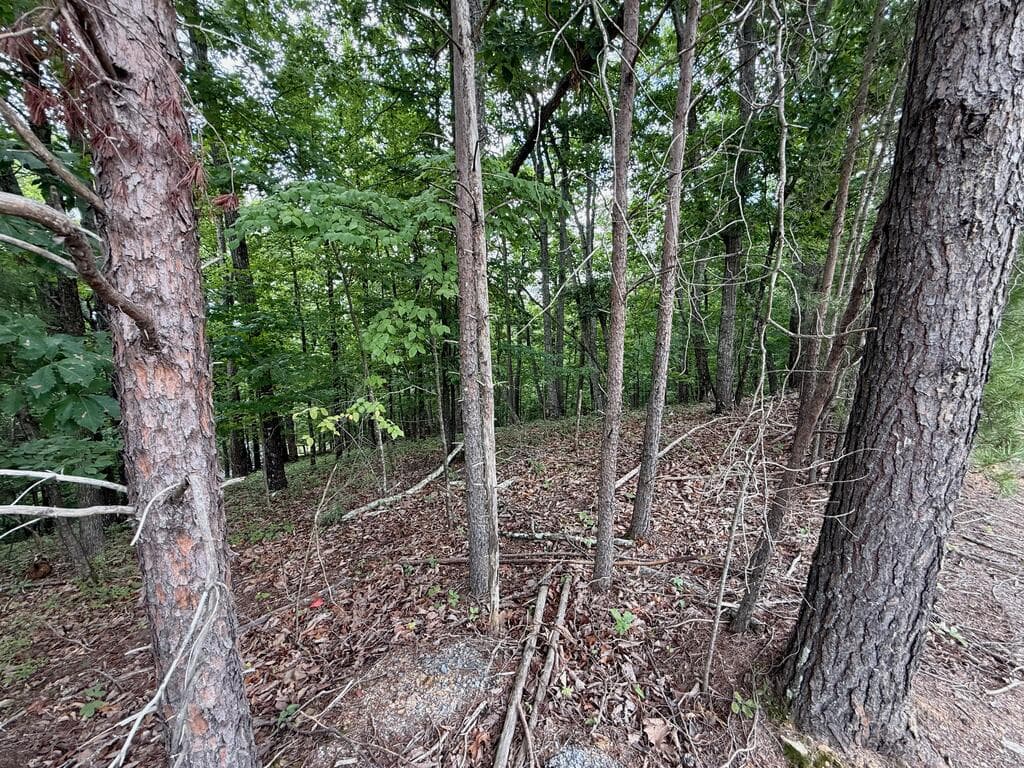 Lot 7 Stirratt Road, Ranger GA 30734 - Photo