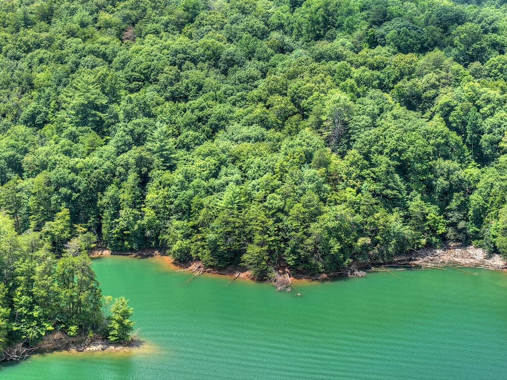 LT 60 Necowa Cove Overlook, Blue Ridge GA 30513 - Photo