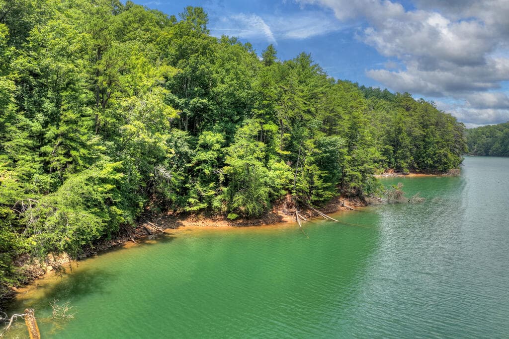 LT 60 Necowa Cove Overlook, Blue Ridge GA 30513 - Photo