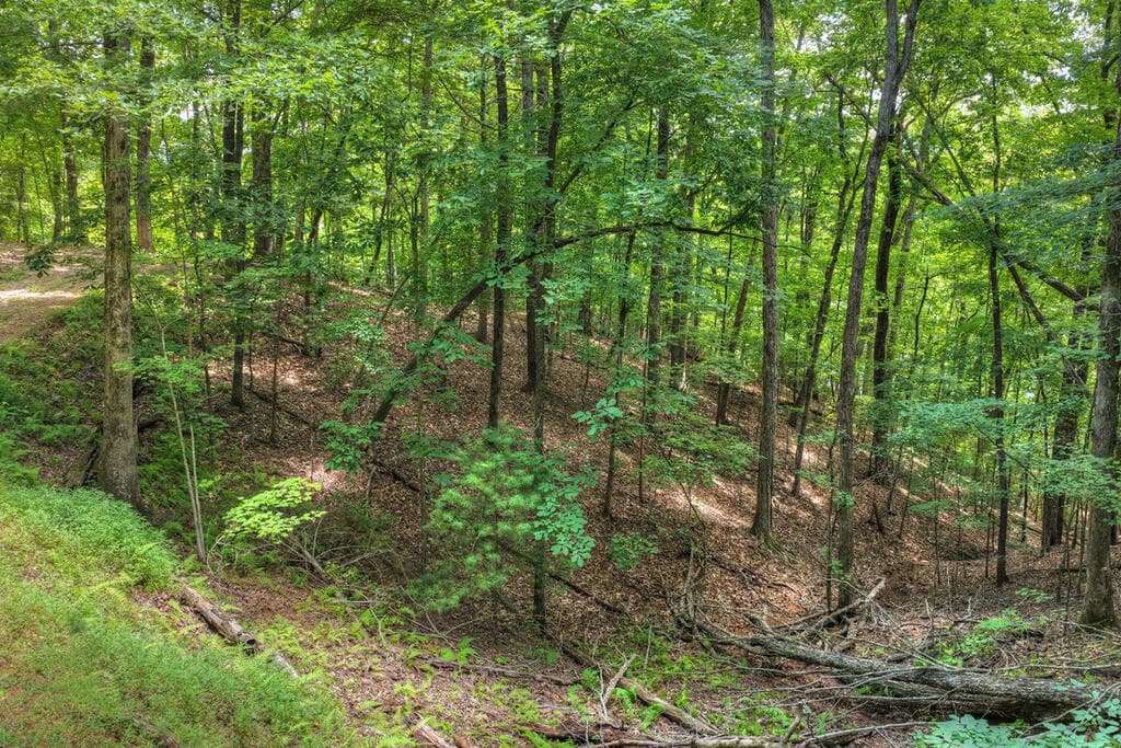 LT 60 Necowa Cove Overlook, Blue Ridge GA 30513 - Photo