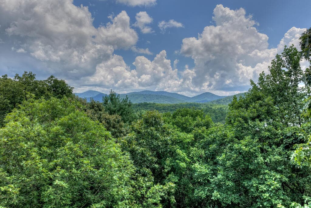LT 60 Necowa Cove Overlook, Blue Ridge GA 30513 - Photo