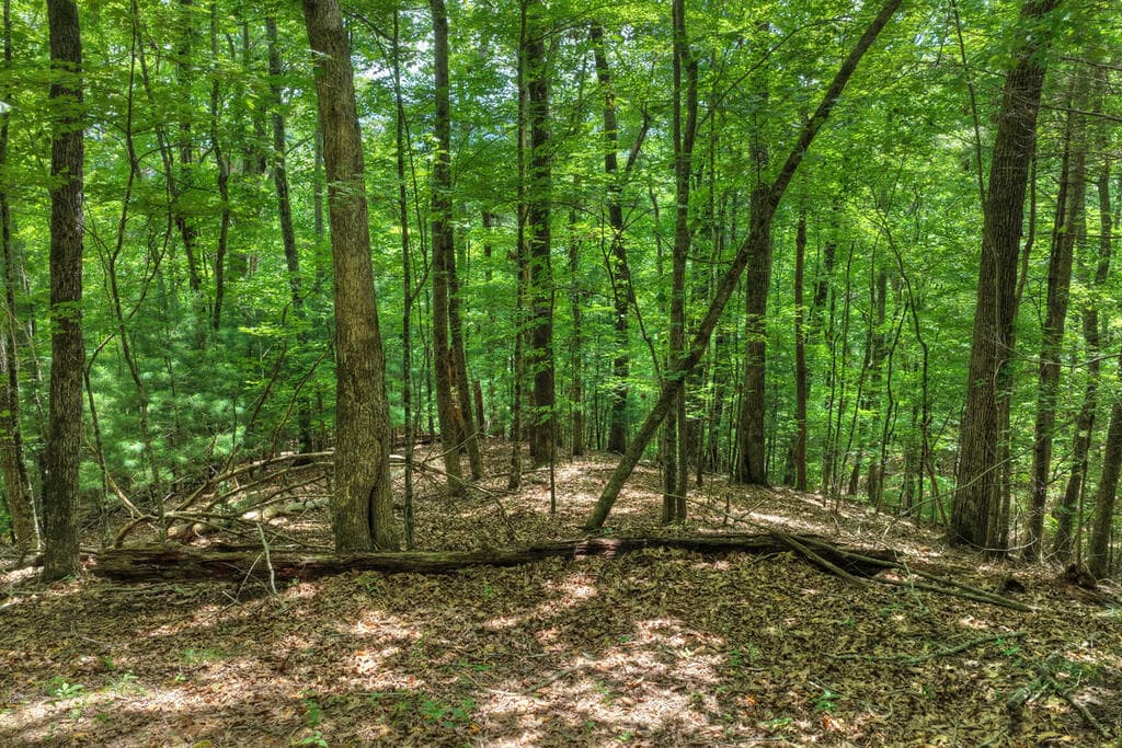 LT 60 Necowa Cove Overlook, Blue Ridge GA 30513 - Photo