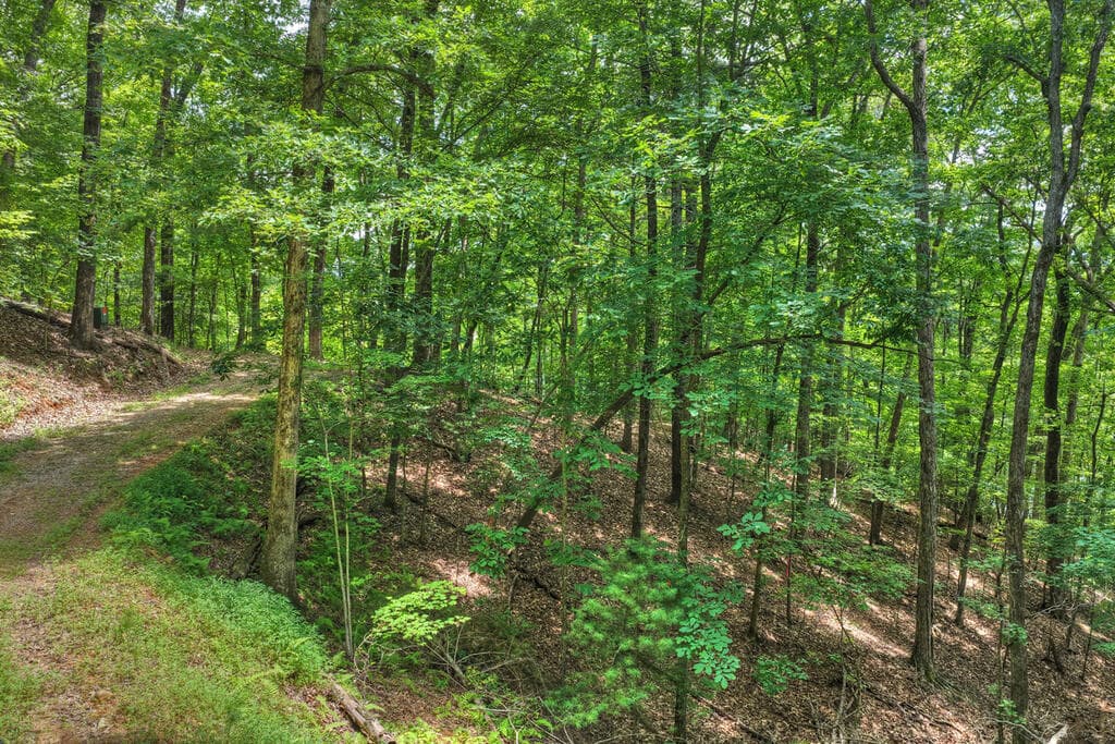 LT 60 Necowa Cove Overlook, Blue Ridge GA 30513 - Photo