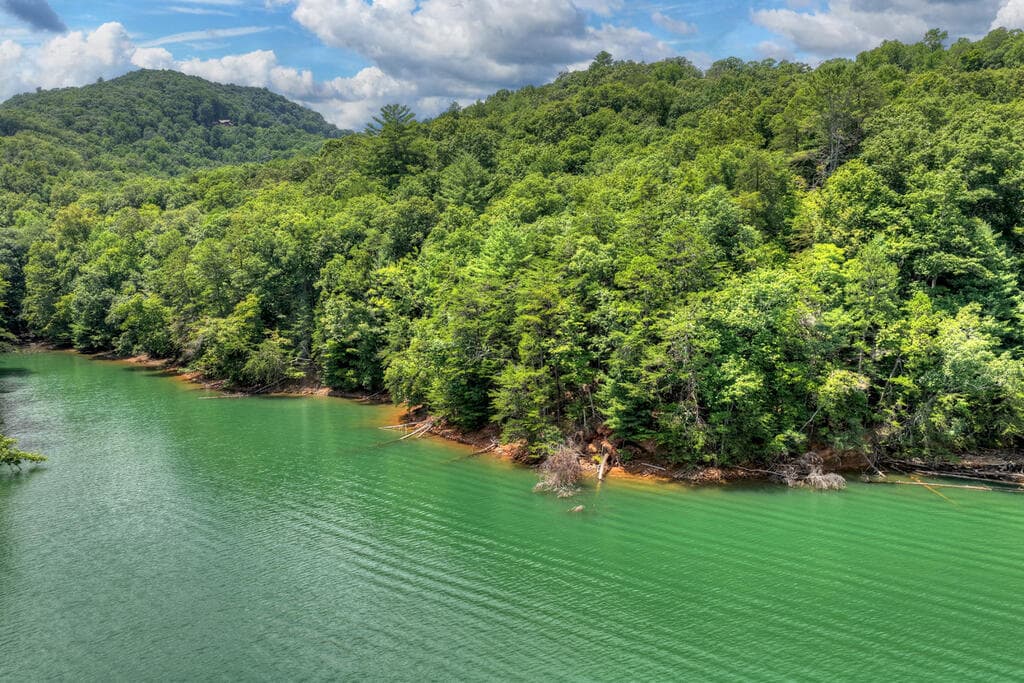 LT 60 Necowa Cove Overlook, Blue Ridge GA 30513 - Photo