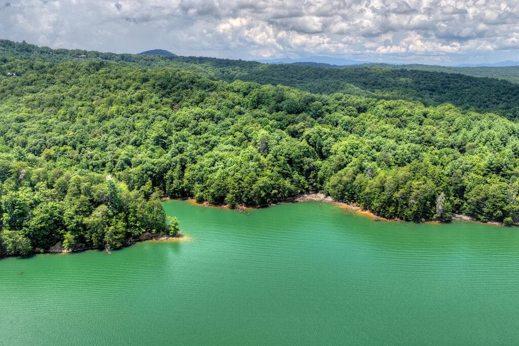 LT 60 Necowa Cove Overlook, Blue Ridge GA 30513 - Photo