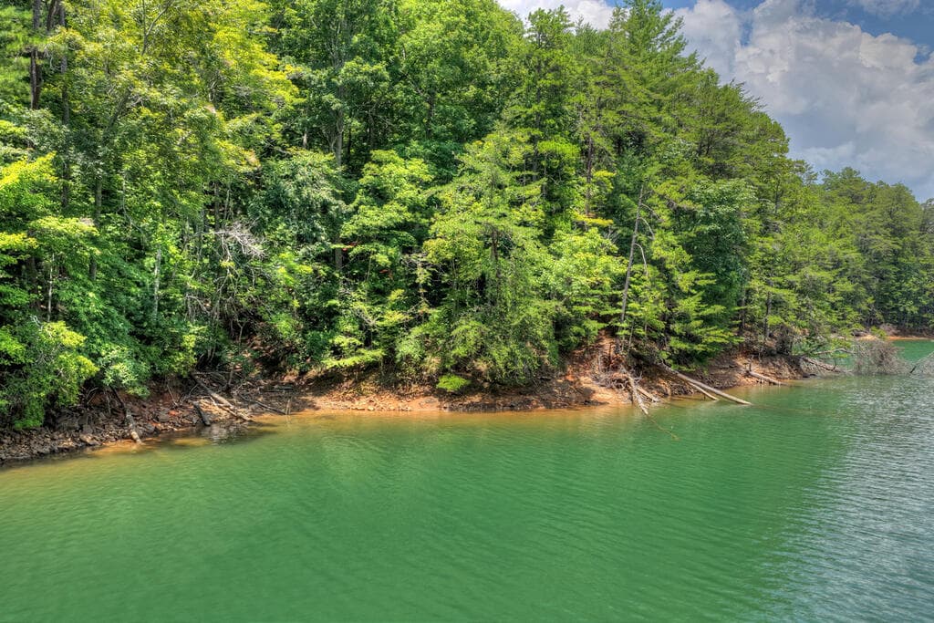LT 60 Necowa Cove Overlook, Blue Ridge GA 30513 - Photo