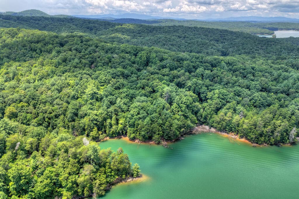 LT 60 Necowa Cove Overlook, Blue Ridge GA 30513 - Photo