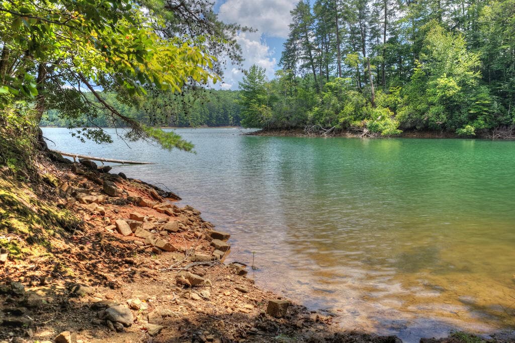 LT 60 Necowa Cove Overlook, Blue Ridge GA 30513 - Photo