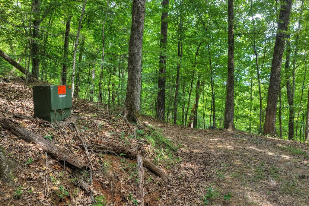 LT 60 Necowa Cove Overlook, Blue Ridge GA 30513 - Photo
