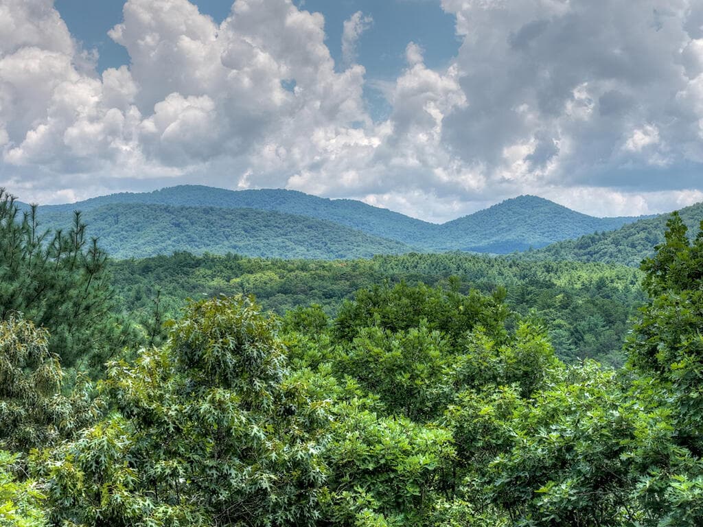 LT 60 Necowa Cove Overlook, Blue Ridge GA 30513 - Photo