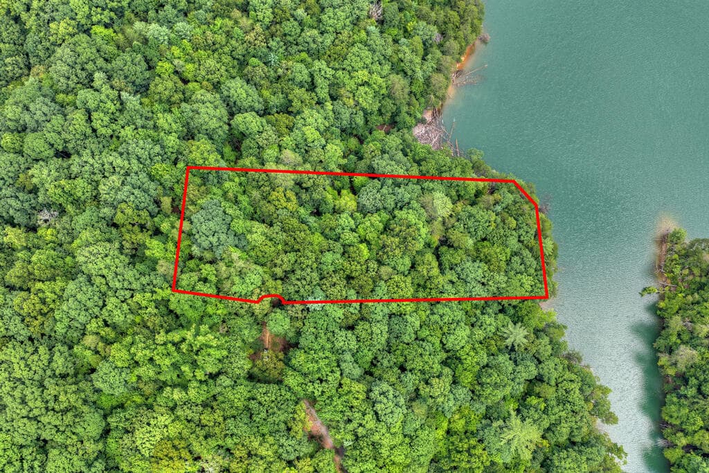 LT 60 Necowa Cove Overlook, Blue Ridge GA 30513 - Photo