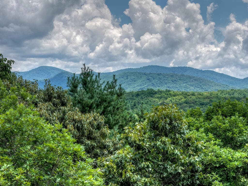 LT 60 Necowa Cove Overlook, Blue Ridge GA 30513 - Photo