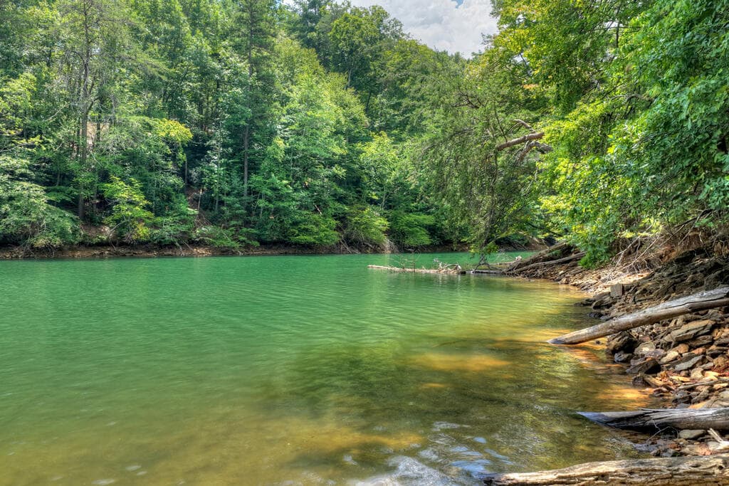 LT 60 Necowa Cove Overlook, Blue Ridge GA 30513 - Photo