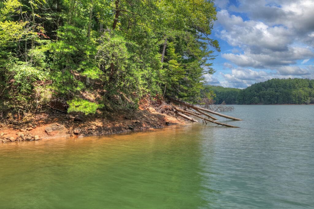 LT 60 Necowa Cove Overlook, Blue Ridge GA 30513 - Photo