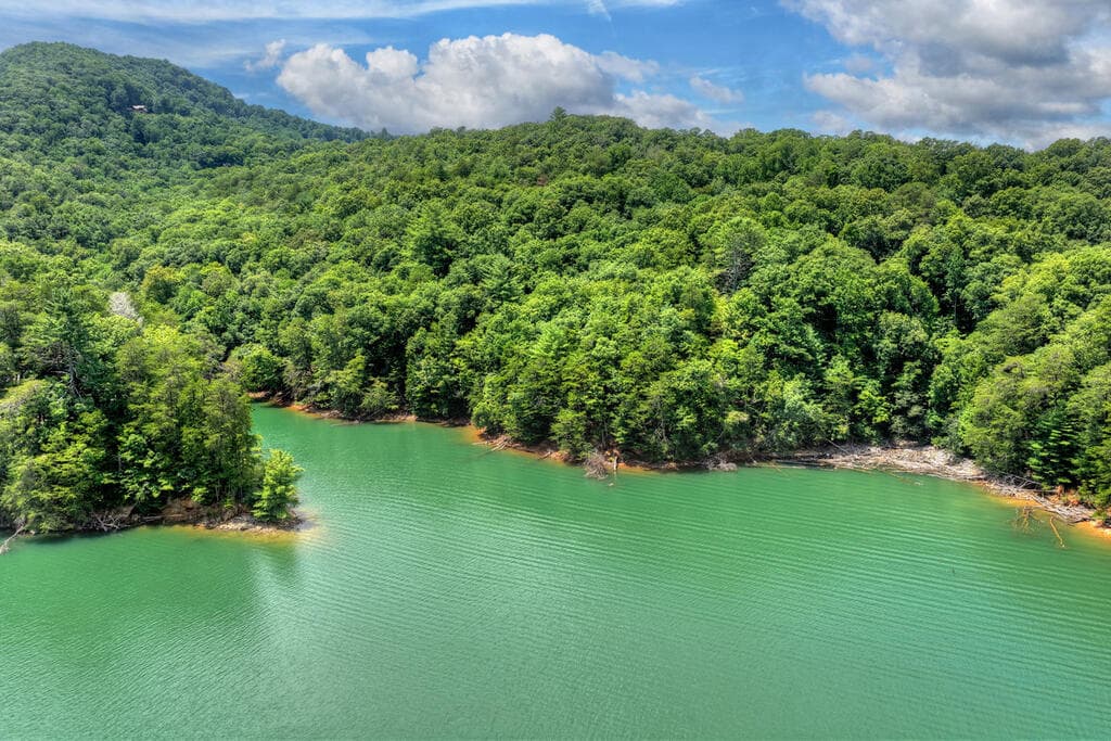 LT 60 Necowa Cove Overlook, Blue Ridge GA 30513 - Photo