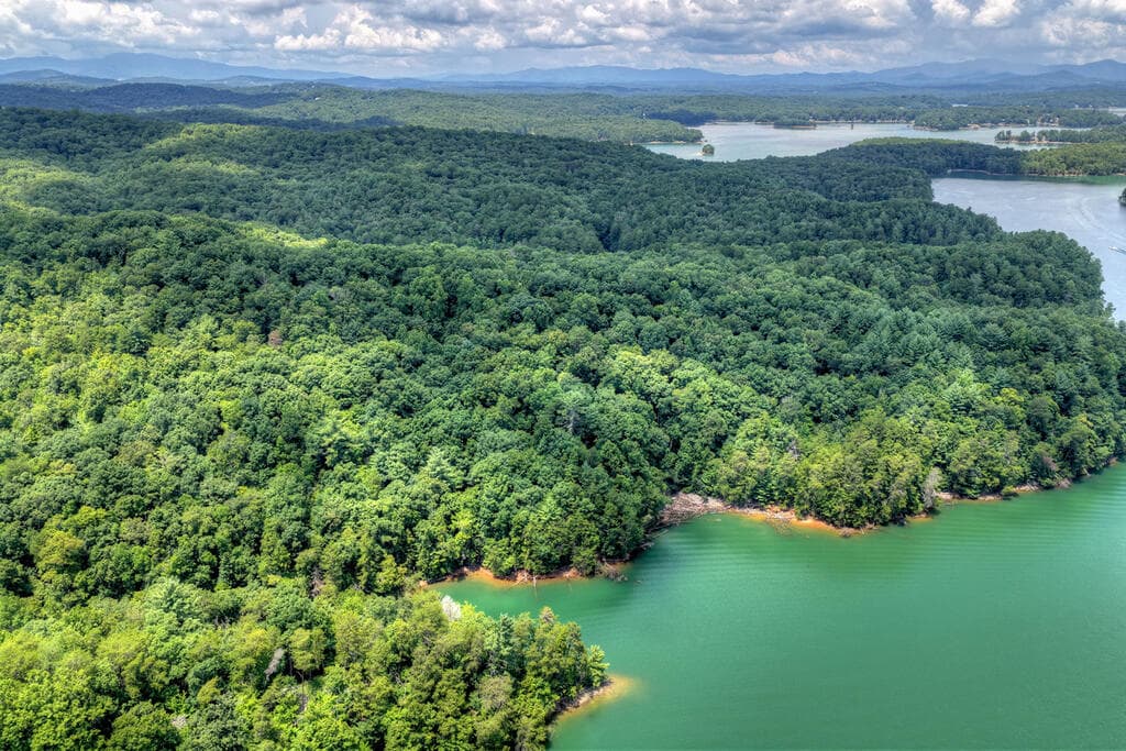 LT 60 Necowa Cove Overlook, Blue Ridge GA 30513 - Photo