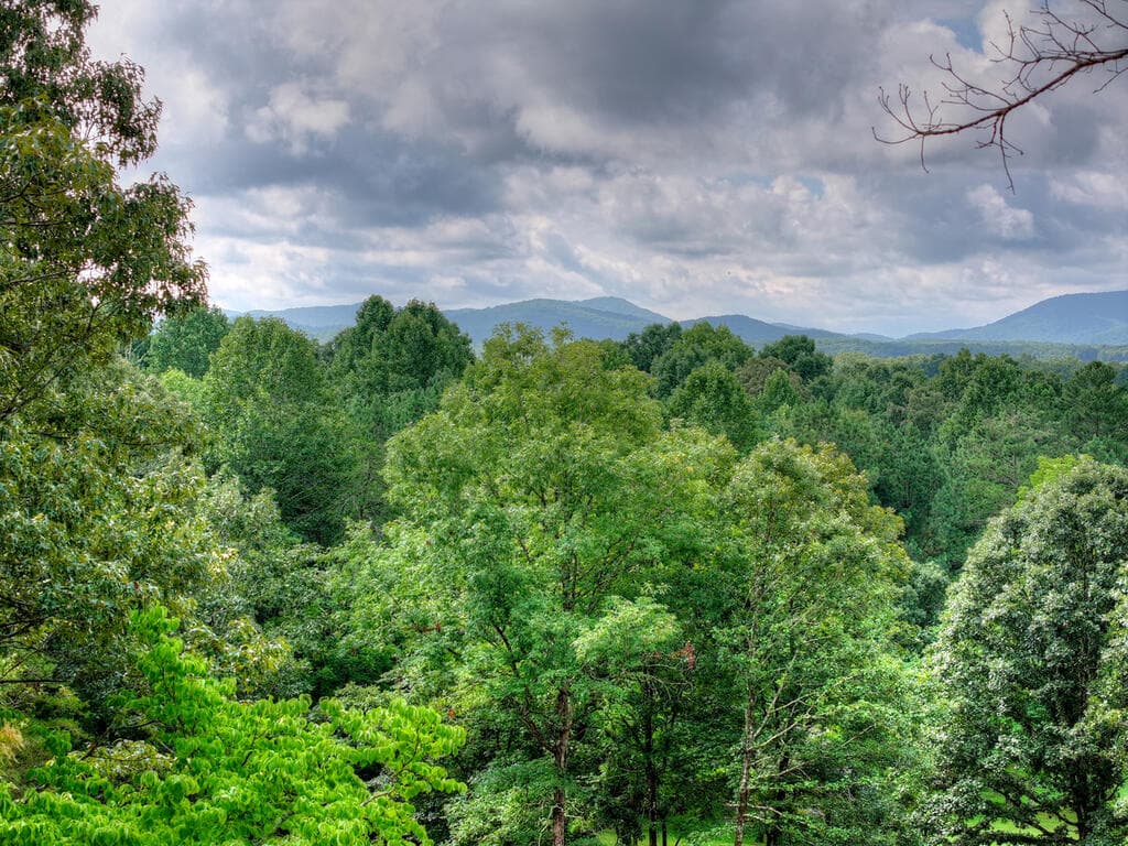 214 Ethan Wilson Way, Morganton GA 30560 - Photo