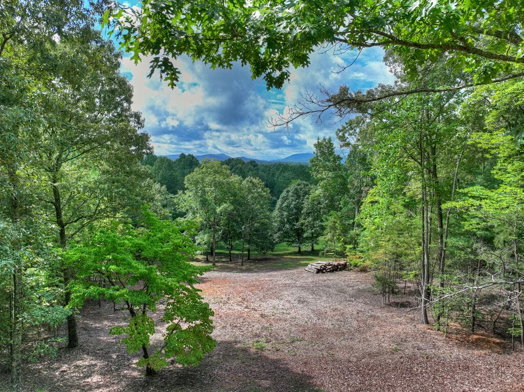 214 Ethan Wilson Way, Morganton GA 30560 - Photo