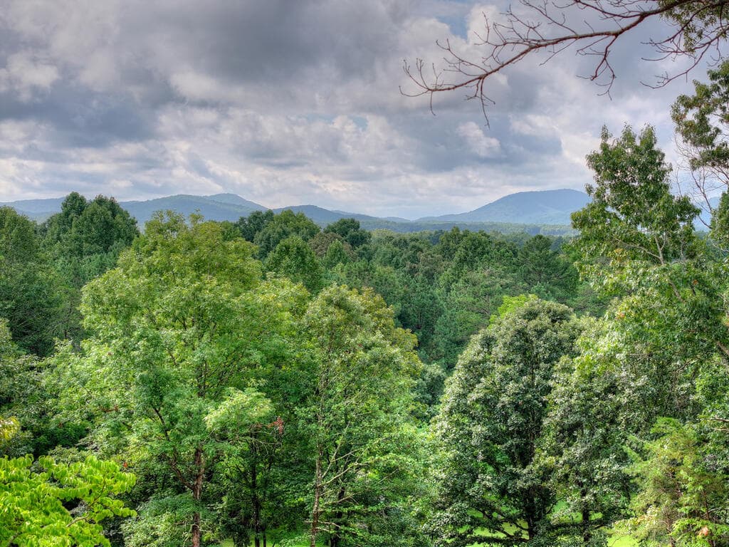 214 Ethan Wilson Way, Morganton GA 30560 - Photo