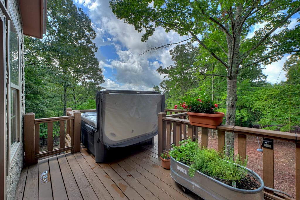214 Ethan Wilson Way, Morganton GA 30560 - Photo