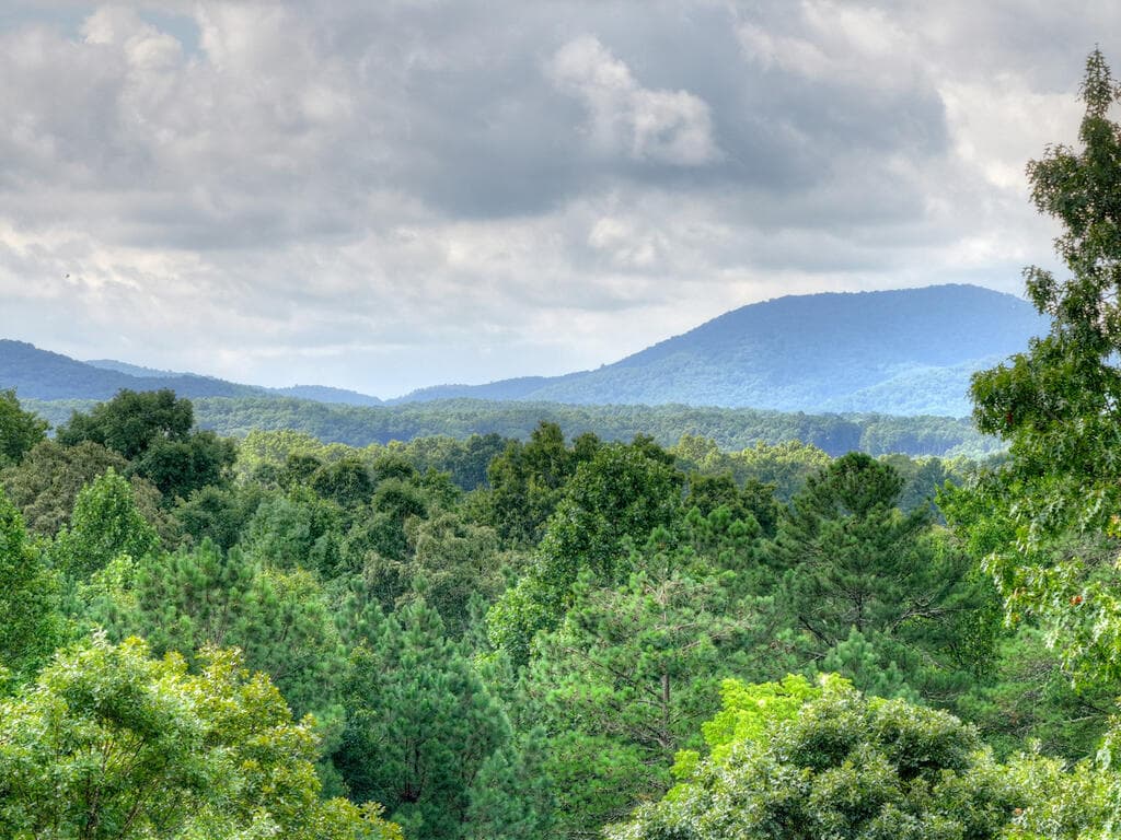 214 Ethan Wilson Way, Morganton GA 30560 - Photo