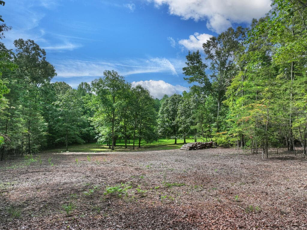 214 Ethan Wilson Way, Morganton GA 30560 - Photo