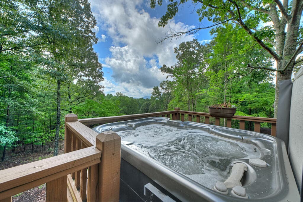 214 Ethan Wilson Way, Morganton GA 30560 - Photo