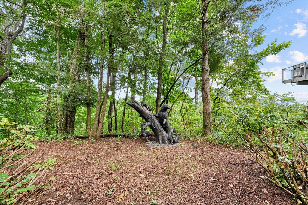 202 Sanderlin Mountain Drive, Big Canoe GA 30143 - Photo