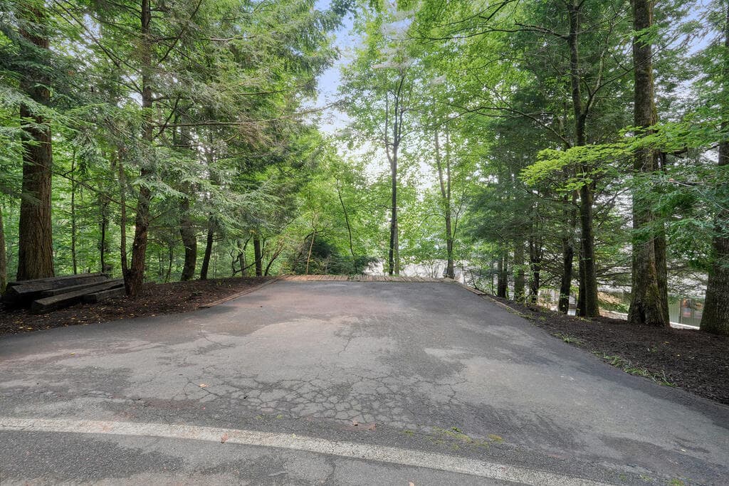 202 Sanderlin Mountain Drive, Big Canoe GA 30143 - Photo