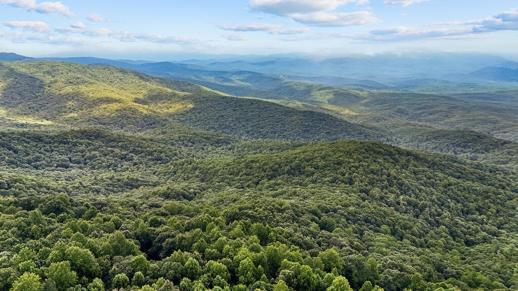 202 Sanderlin Mountain Drive, Big Canoe GA 30143 - Photo