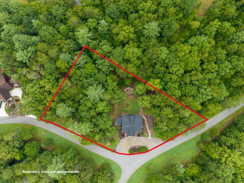 350 Kensington Drive, Mineral Bluff GA 30559 - Photo