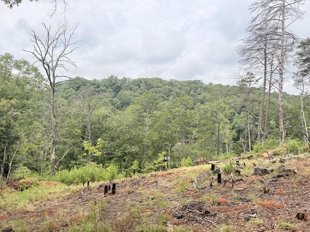 7.58 ac. James Ed Road, Gainesville GA 30506 - Photo