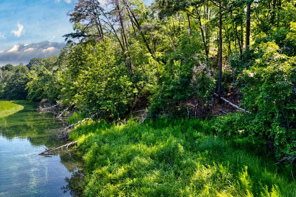7.58 ac. James Ed Road, Gainesville GA 30506 - Photo