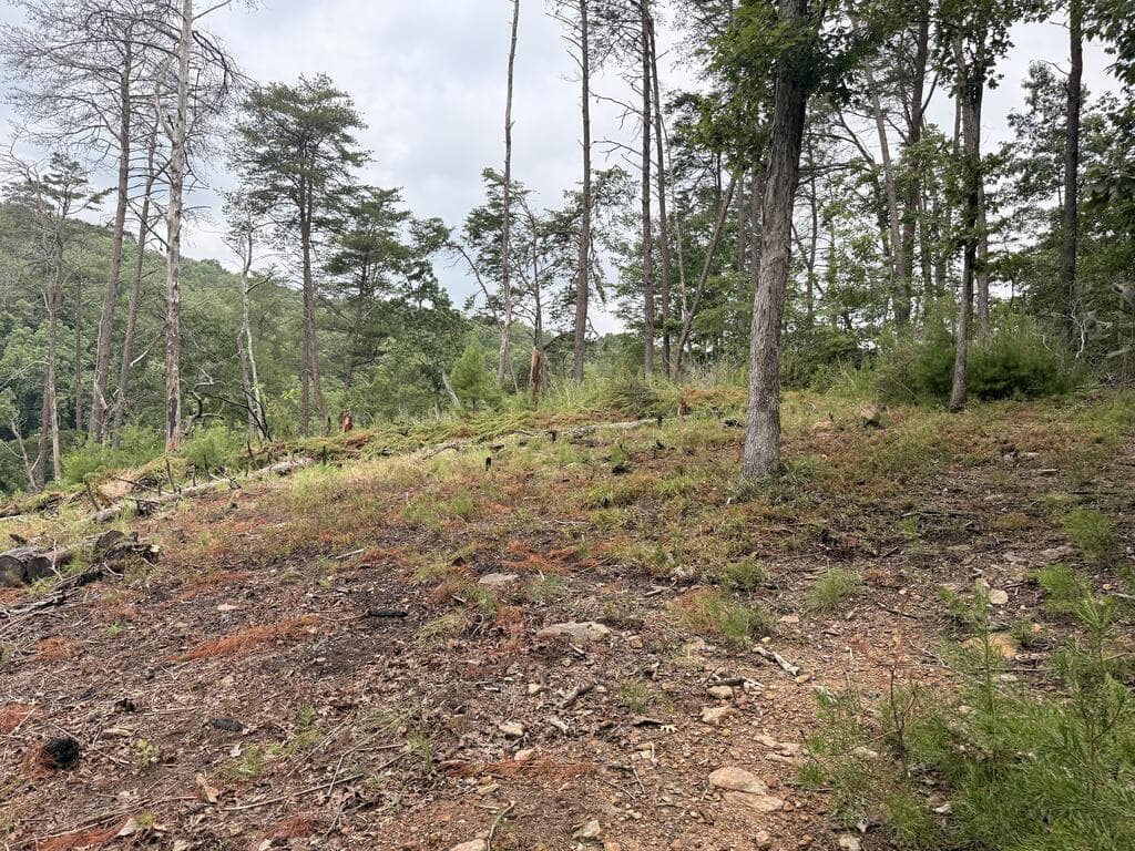 7.58 ac. James Ed Road, Gainesville GA 30506 - Photo
