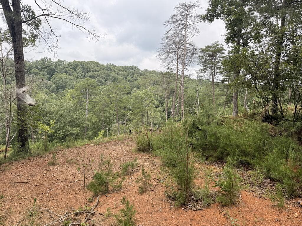 7.58 ac. James Ed Road, Gainesville GA 30506 - Photo