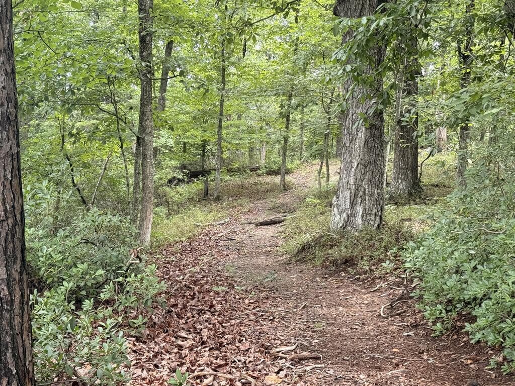 7.58 ac. James Ed Road, Gainesville GA 30506 - Photo