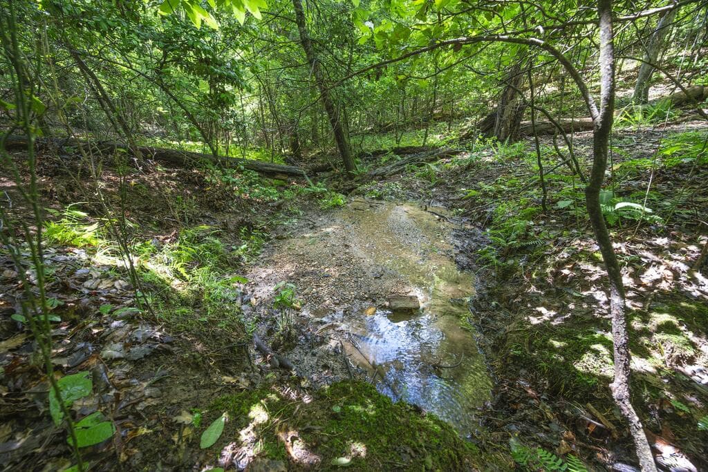 LOT 19 Gibbs Trail, Mineral Bluff GA 30559 - Photo