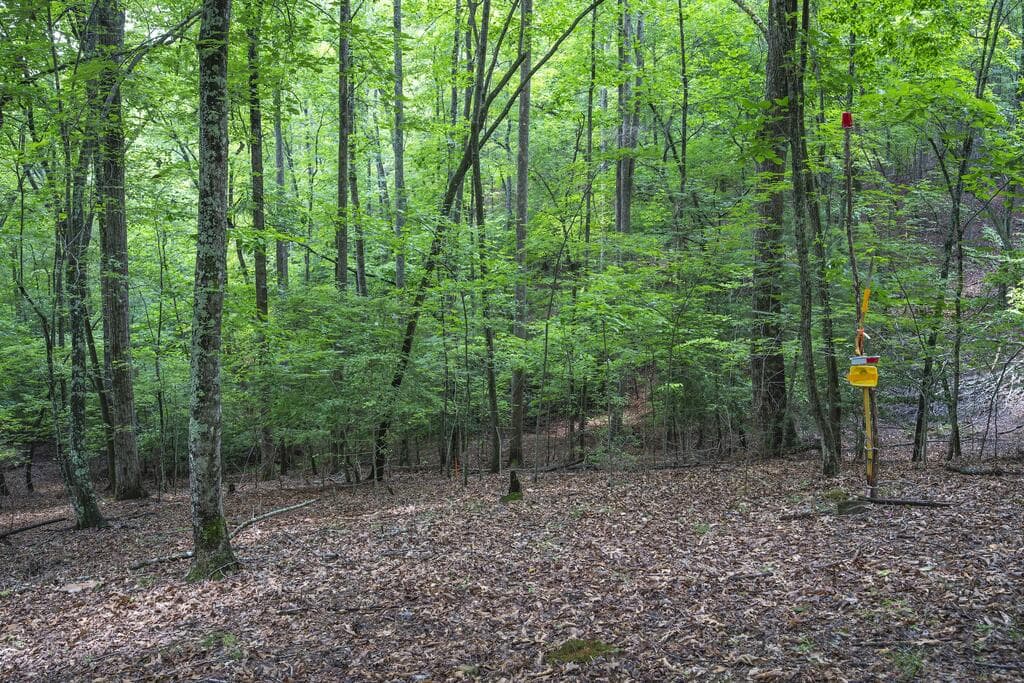LOT 19 Gibbs Trail, Mineral Bluff GA 30559 - Photo