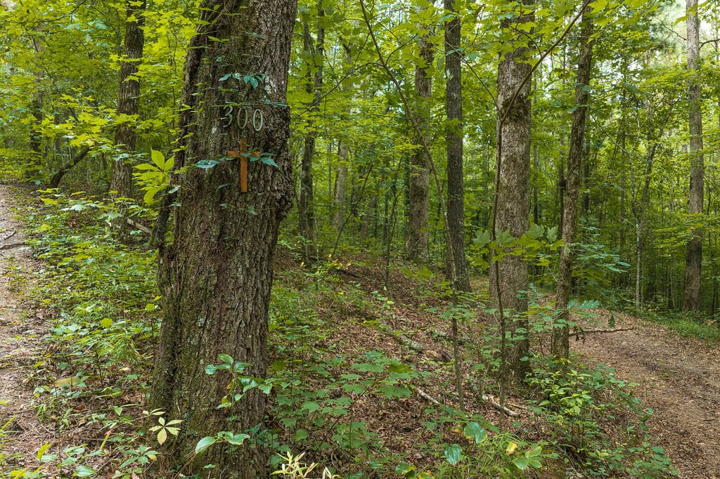 300 Sumac Lane, Ellijay GA 30540 - Photo
